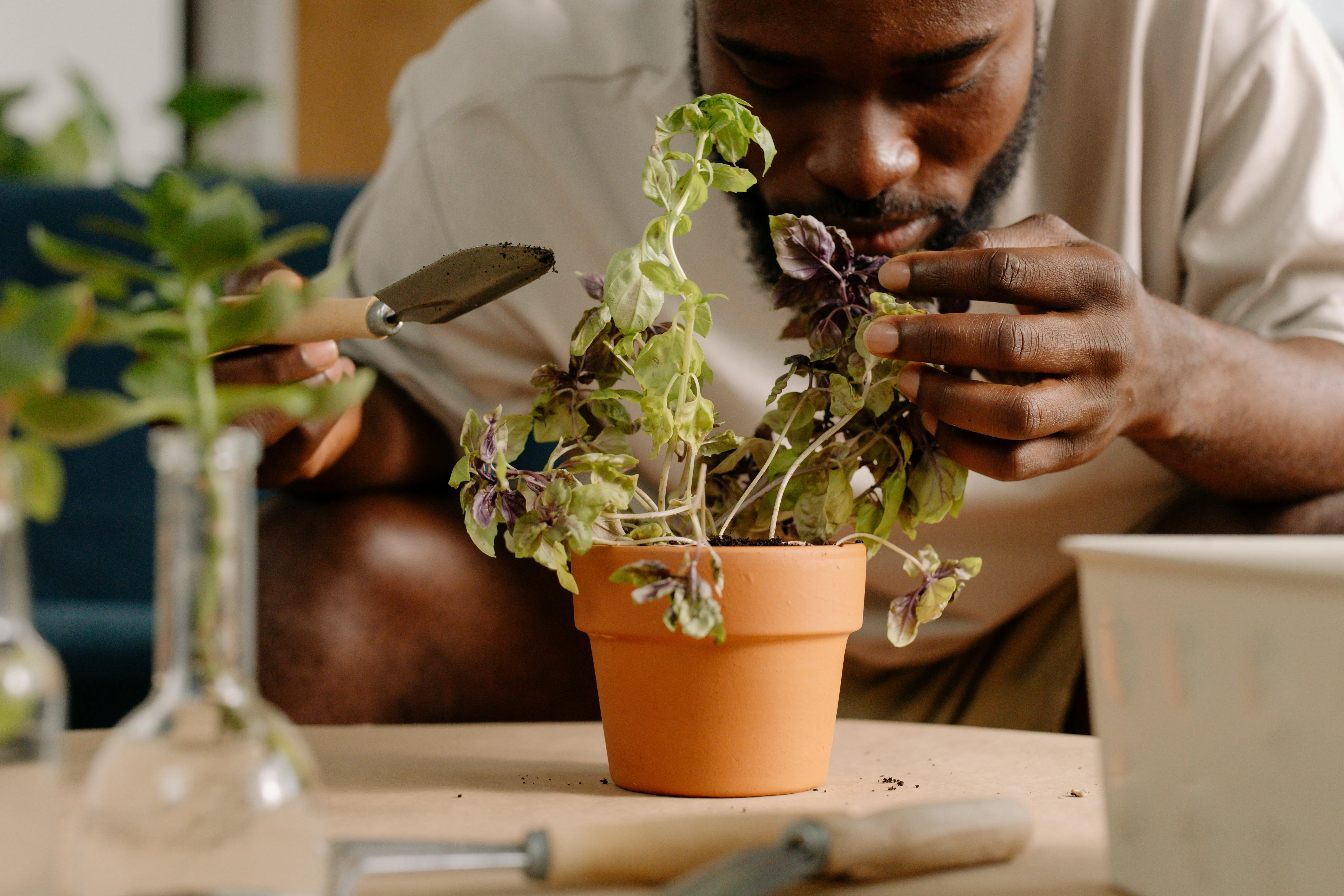 cottonbro studio on Pexels