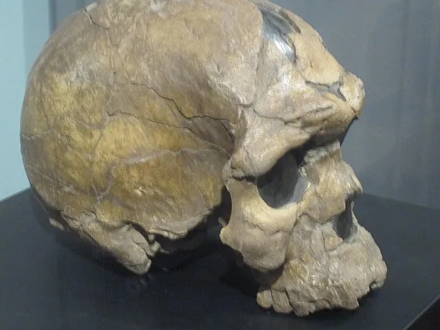 Alessandrosmerilli on Wikimedia Commons