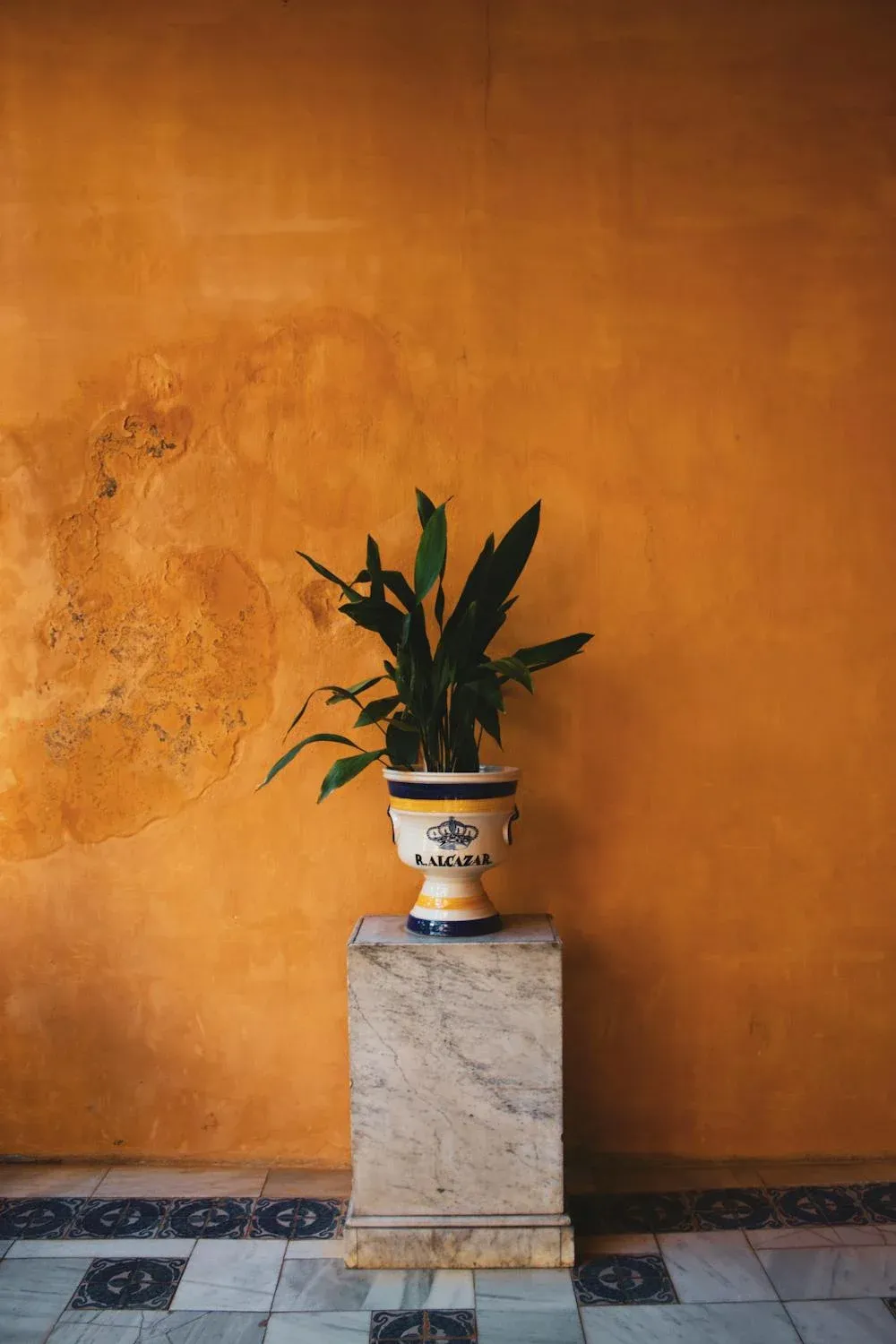 Mark Neal on Pexels