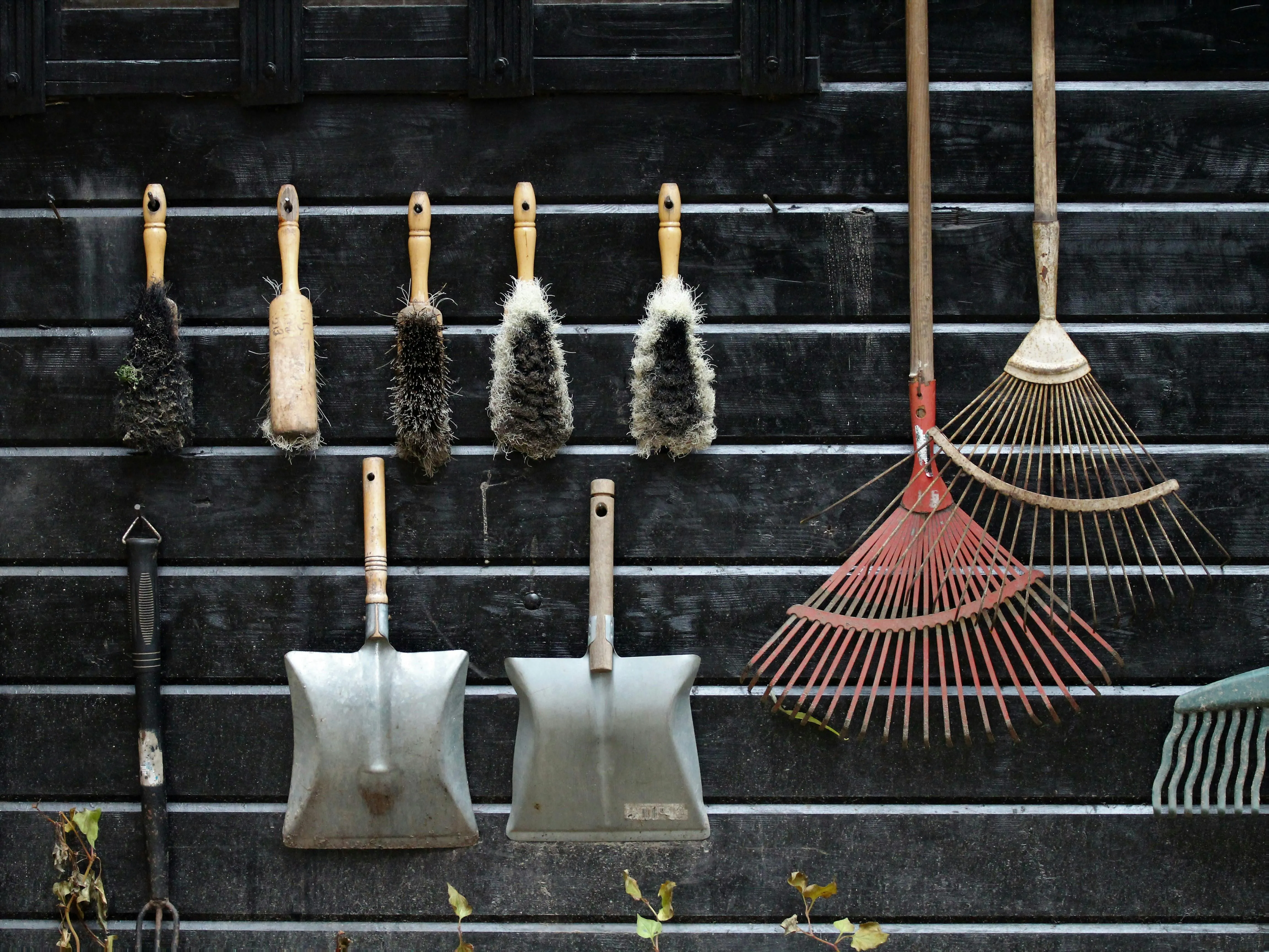 hans middendorp on Pexels