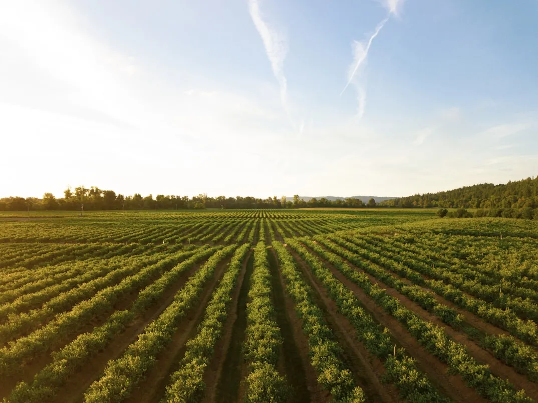 15 Historical Events That Changed Farming and Agriculture