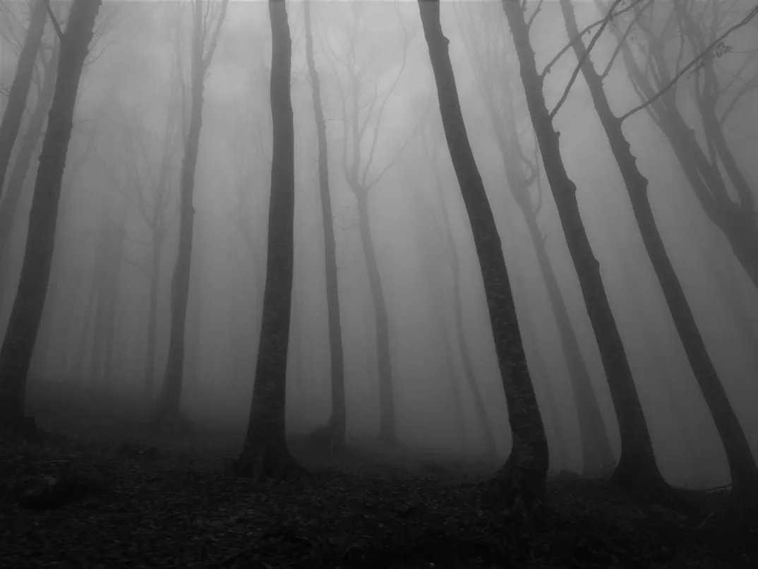  silvana amicone from Unsplash