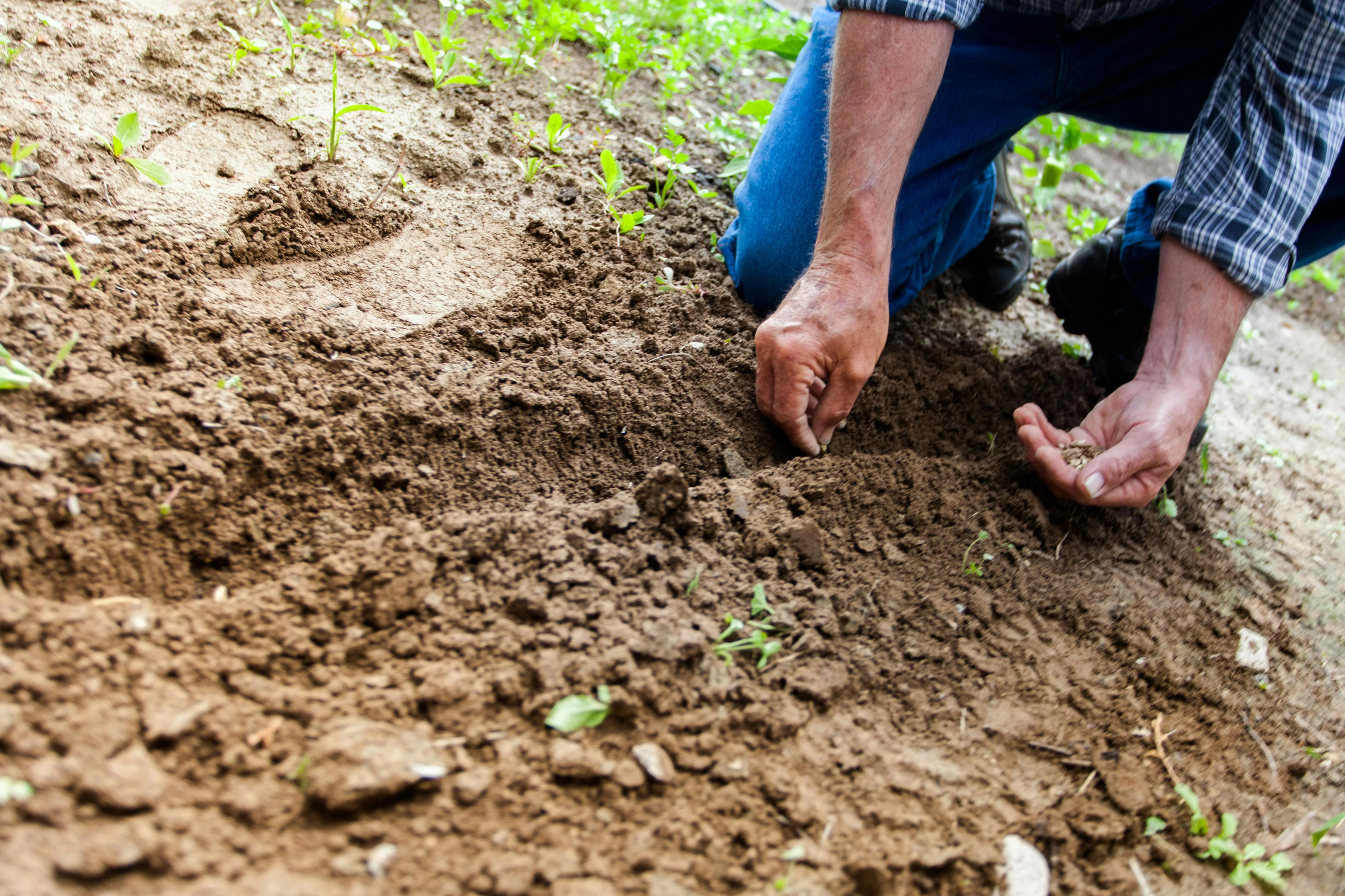 20 Farming Practices Used Prior to Mechanization