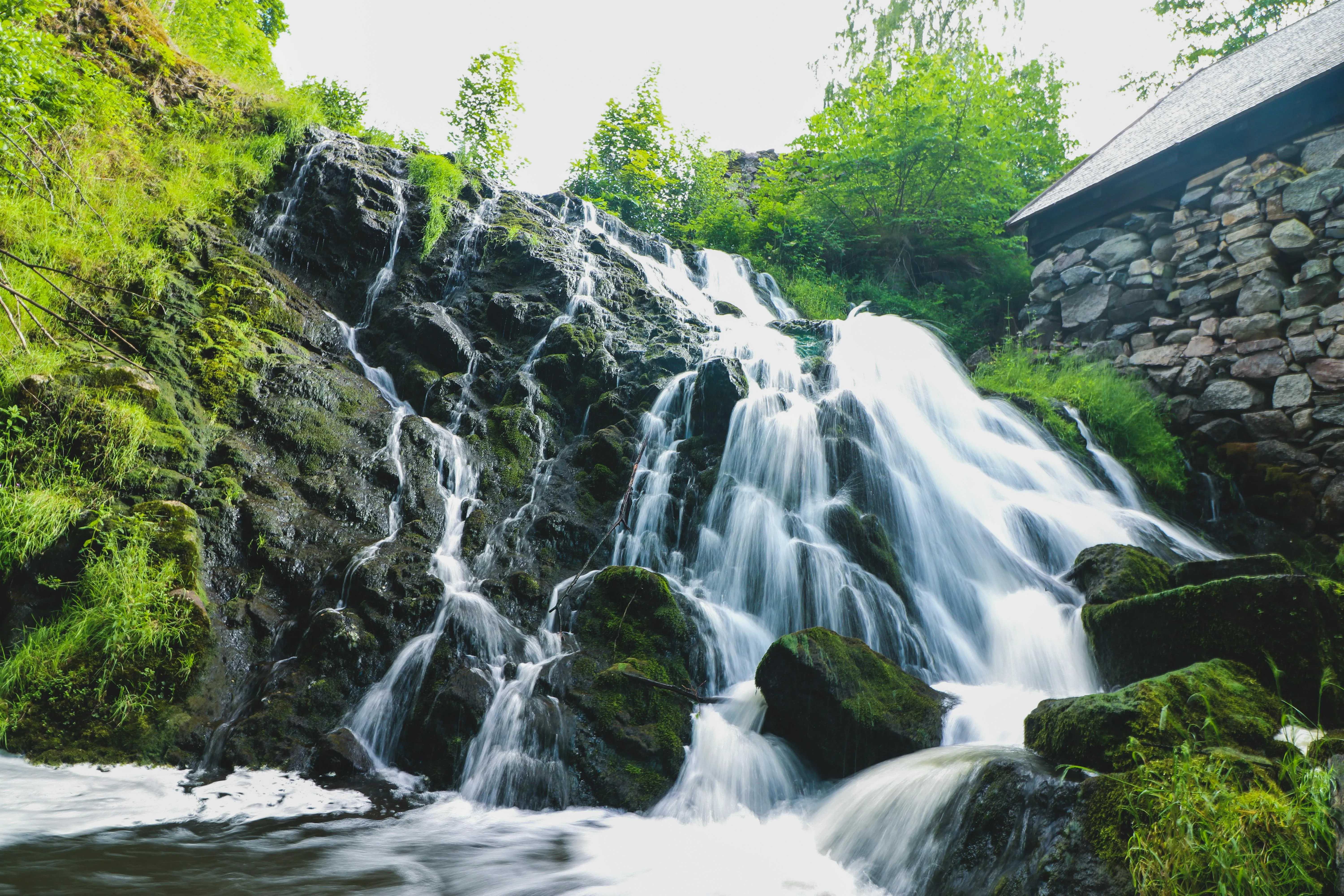 Cristoffer Gustafsson on Pexels