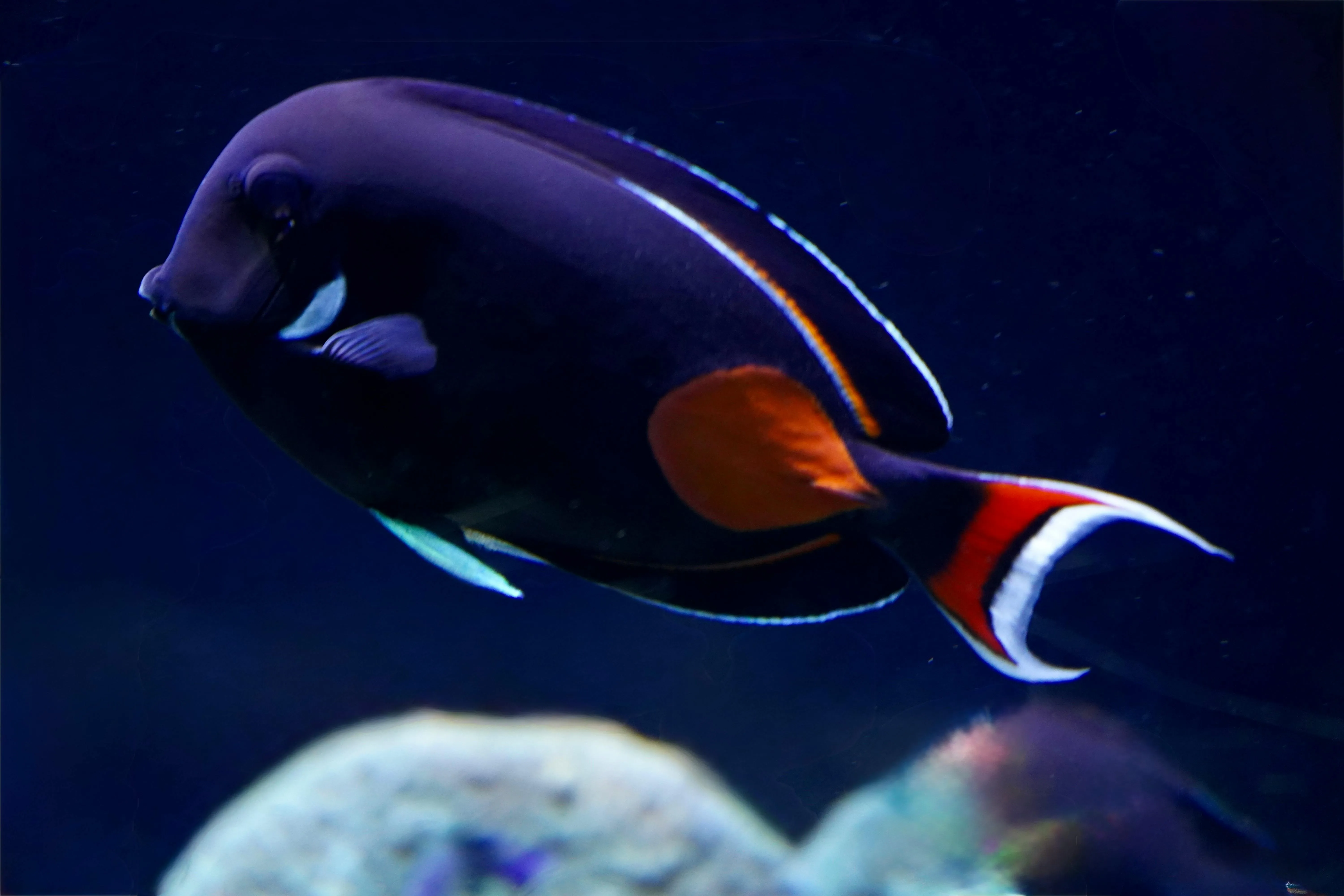 Жанна Алимкулова on Pexels