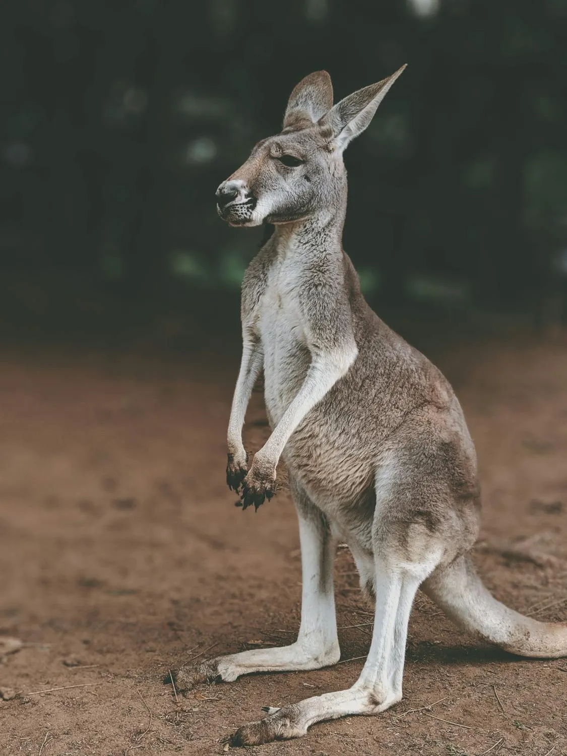 Valeriia Miller on Pexels
