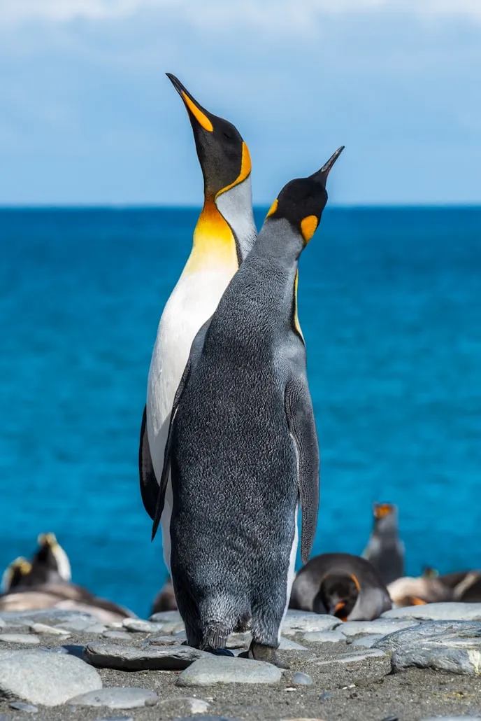 Paul Carroll on Unsplash