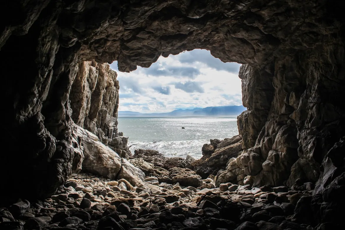 Devon Janse van Rensburg from Unsplash