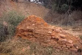 Image from Harappa