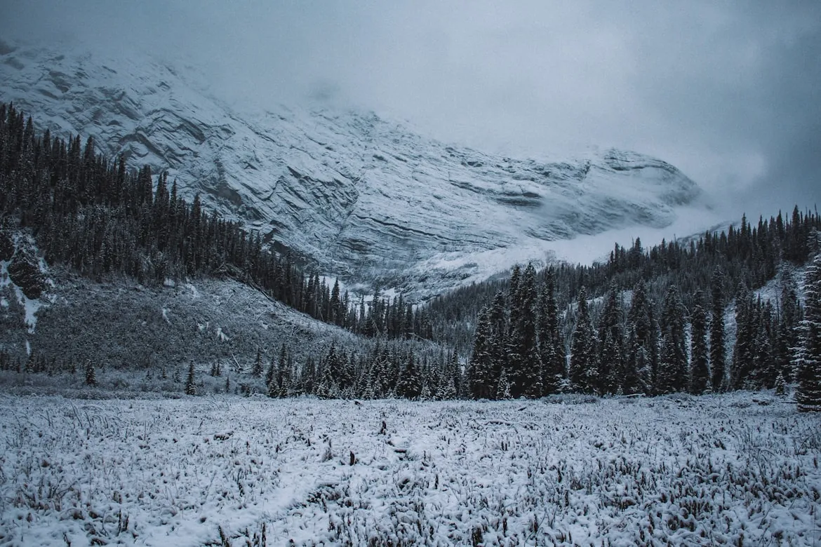 Ben den Engelsen from Unsplash