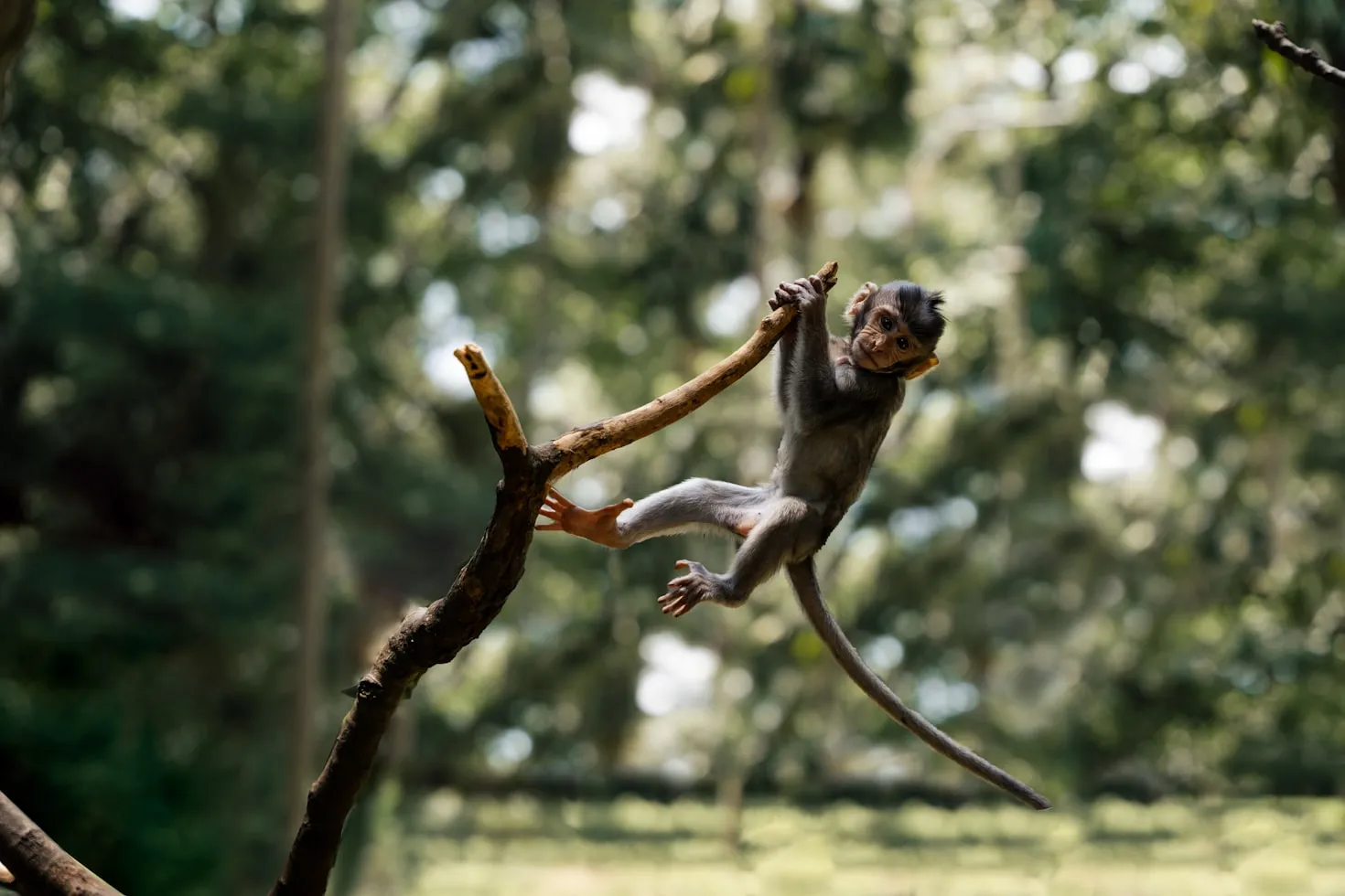 Brayden Prato on Unsplash