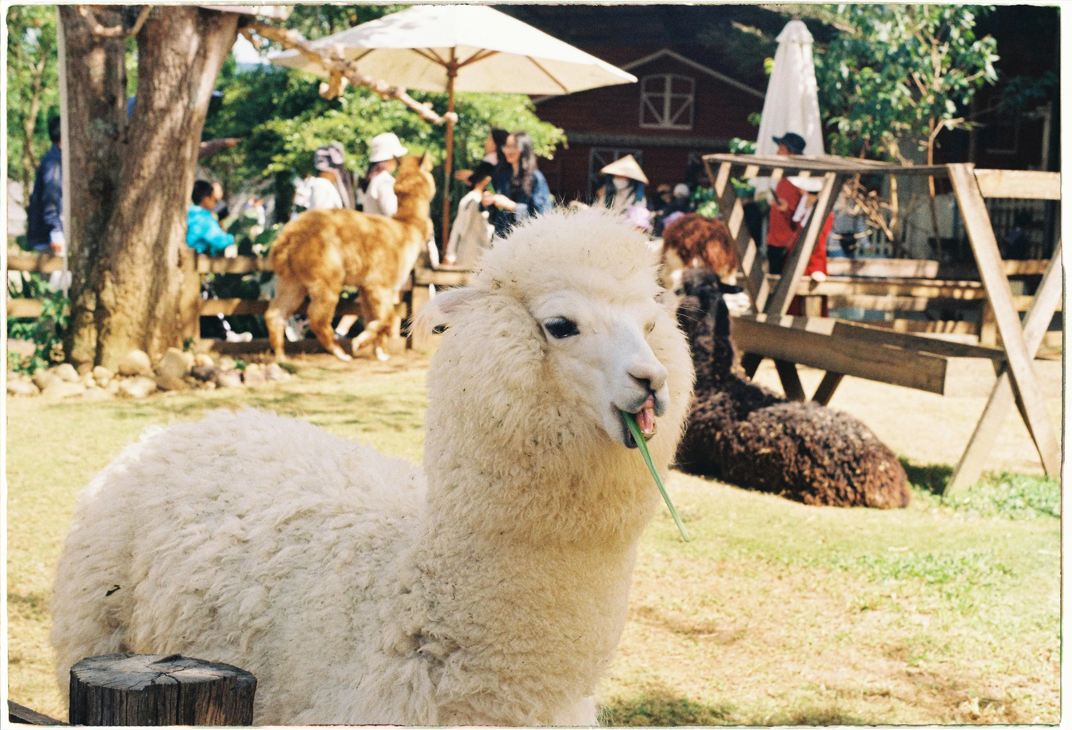 meomupmofilm on Pexels 