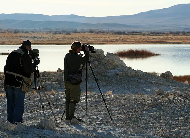 Department of the Interior. U.S. Fish and Wildlife Service. National Conservation Training Center. 10/1997-8888 on wikimedia