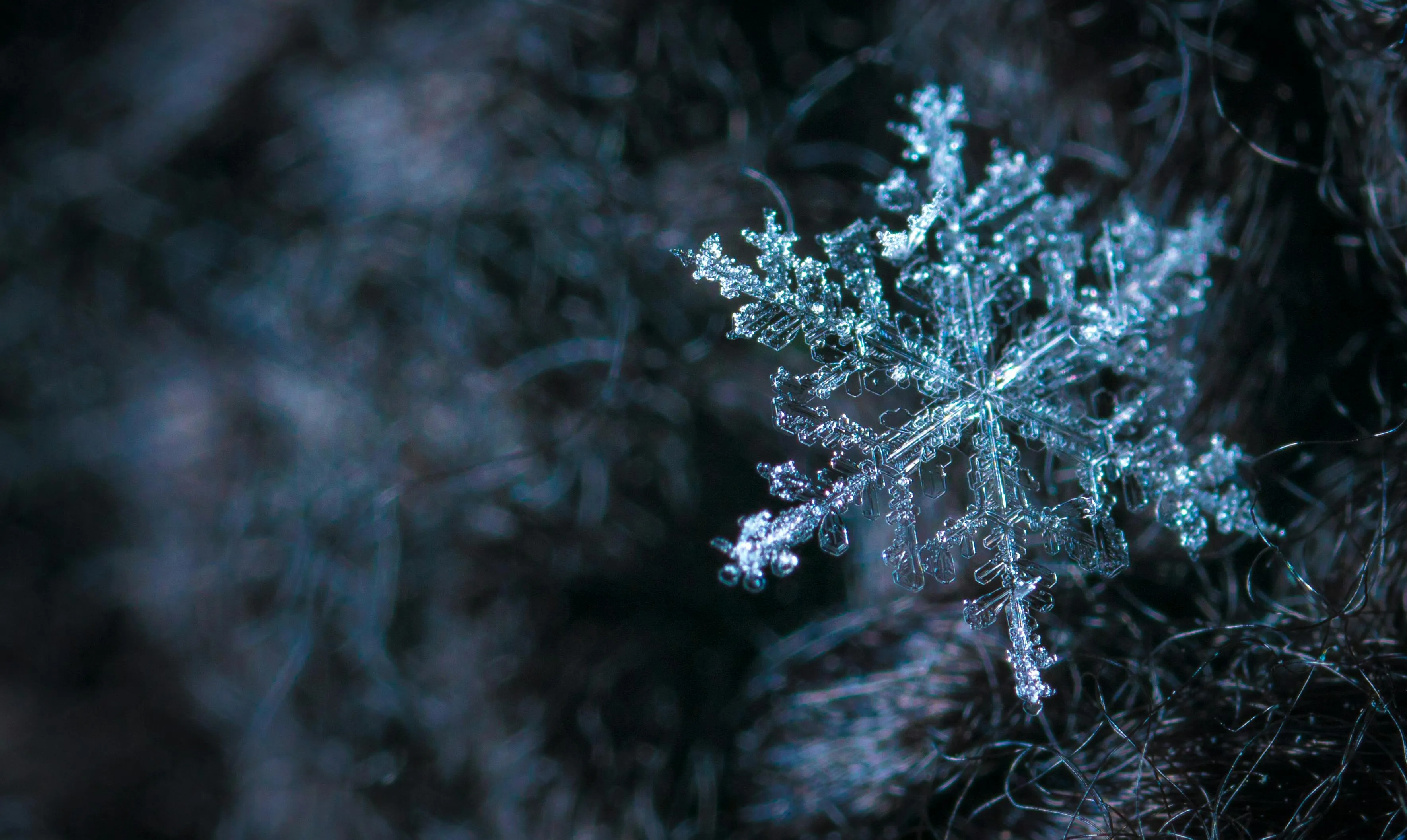 10 Ways Families Prepared for Winter Each Year