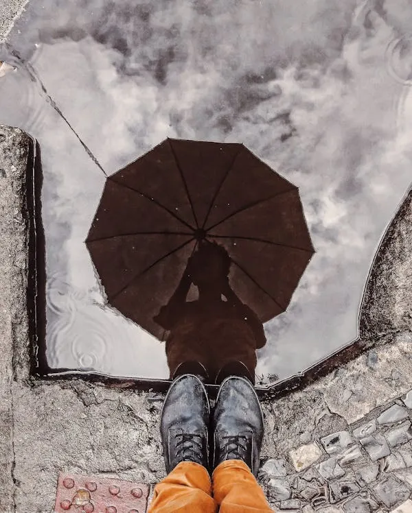 Thiago Matos on Pexels 