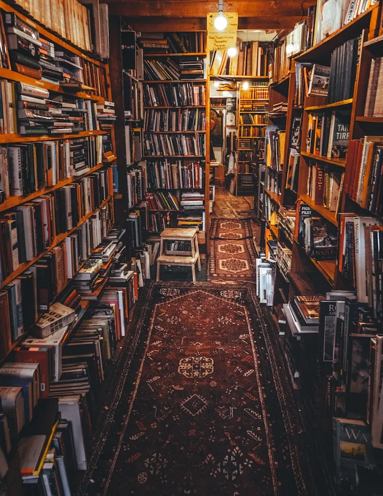 Norbert Tóth from Unsplash