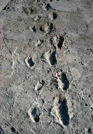 Image from University of St Andrews news
