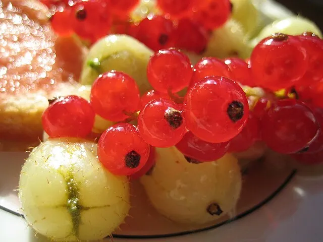 dailyfood on Wikicommons