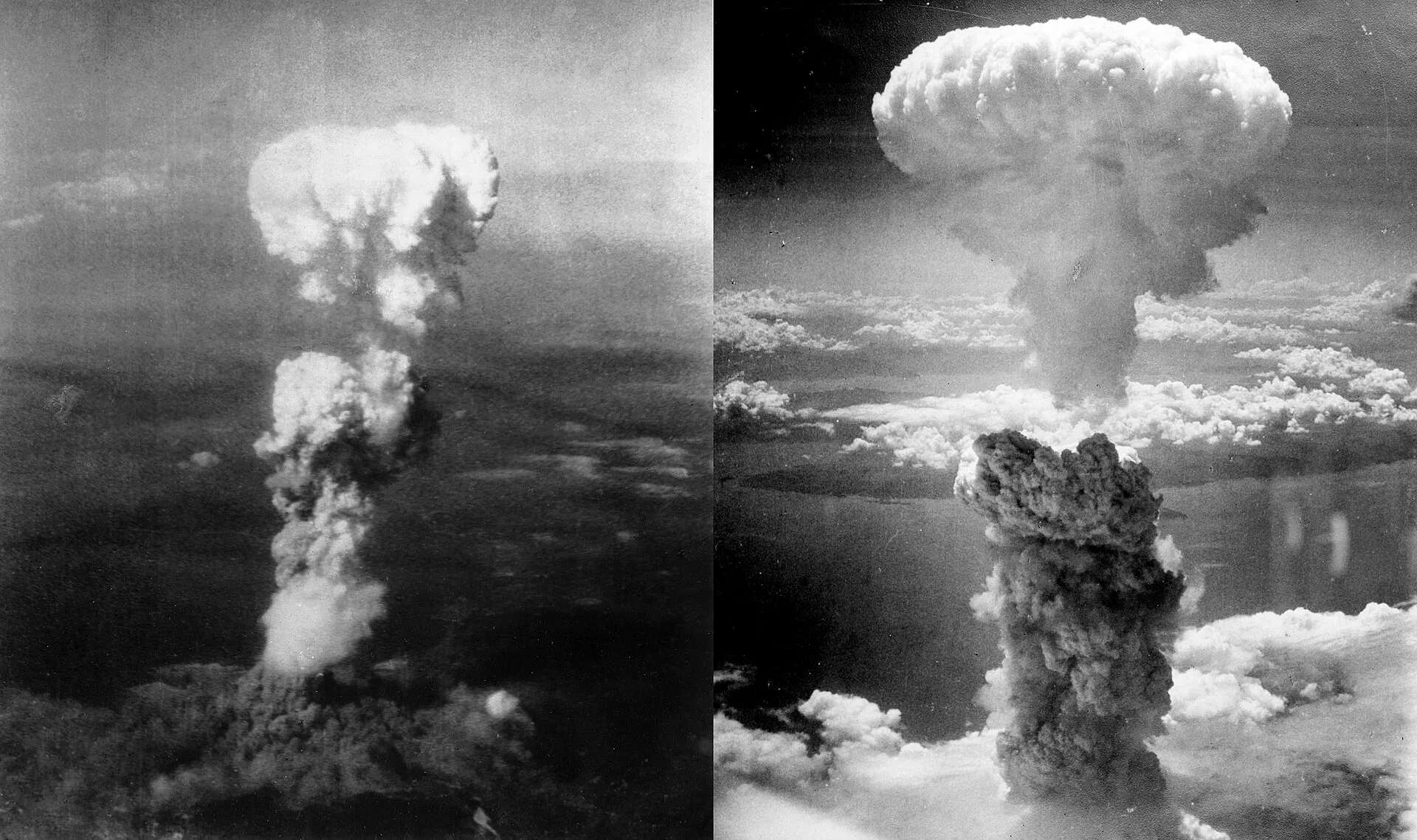 Image from Wikipedia