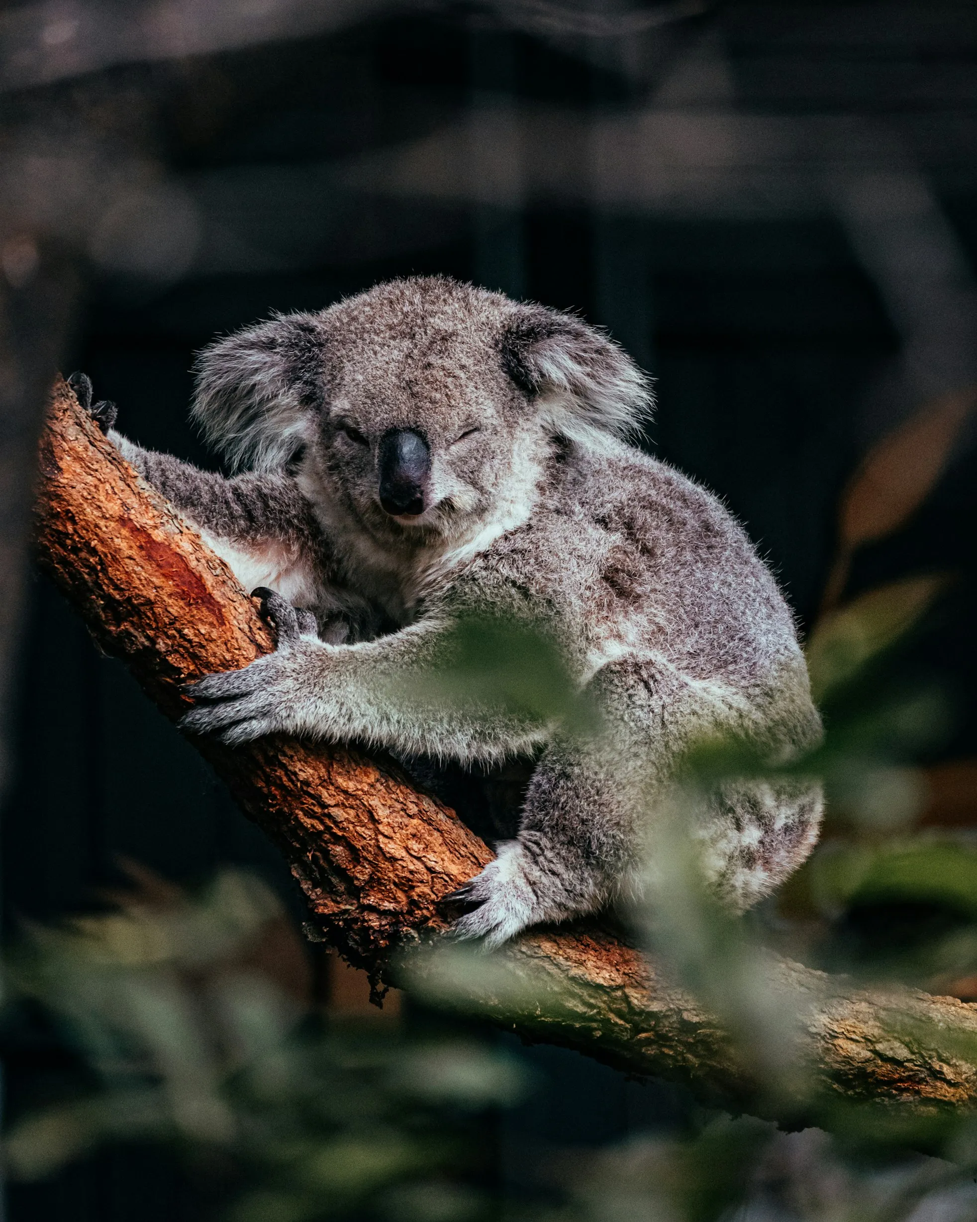  Benjamin Sow from Unsplash
