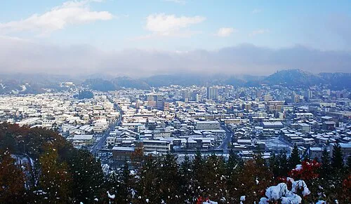 Image from Wikipedia