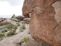 Image from 8 News NOW