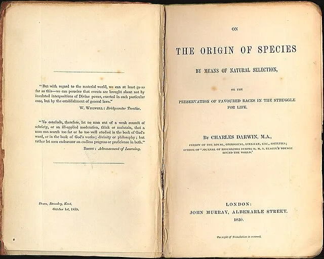 Wikiemdia Commons