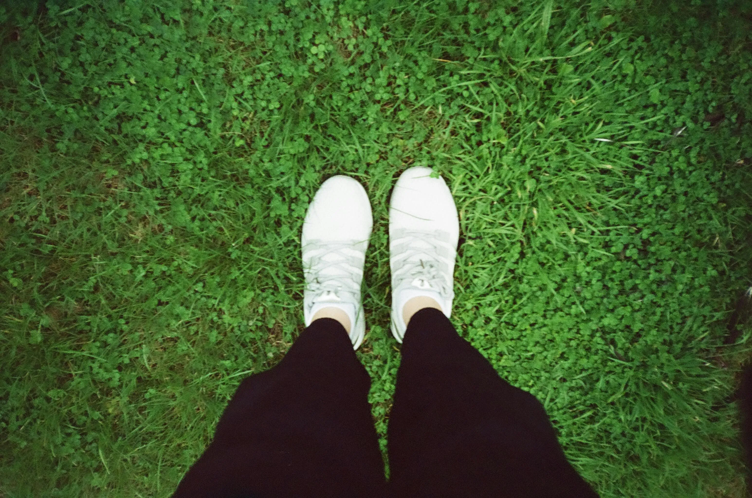 Point And Shoot on Pexels