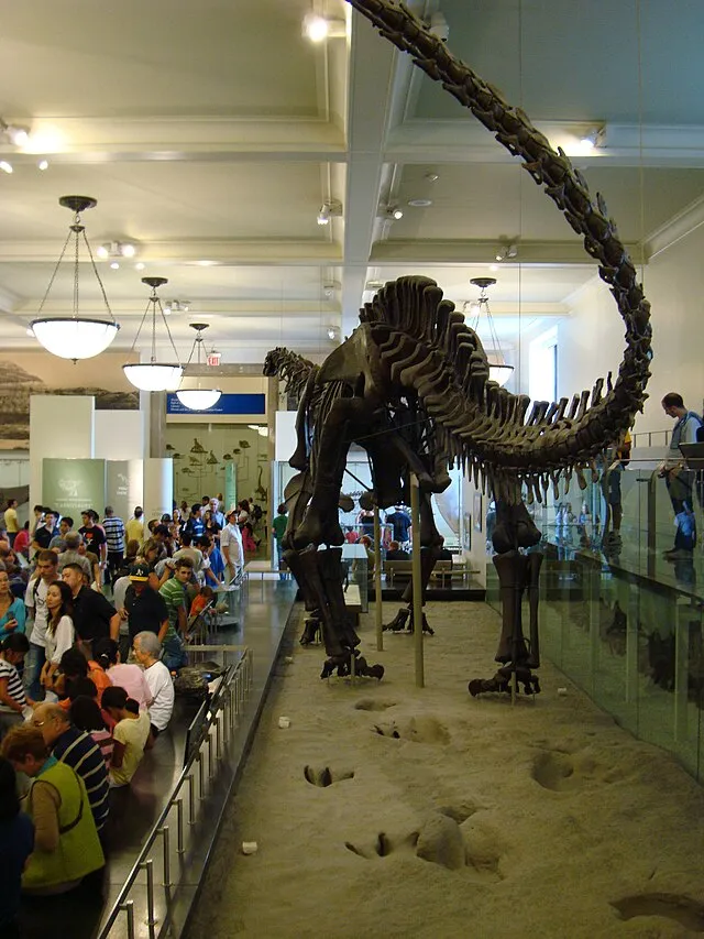 Joseph Lin on Wikimedia Commons