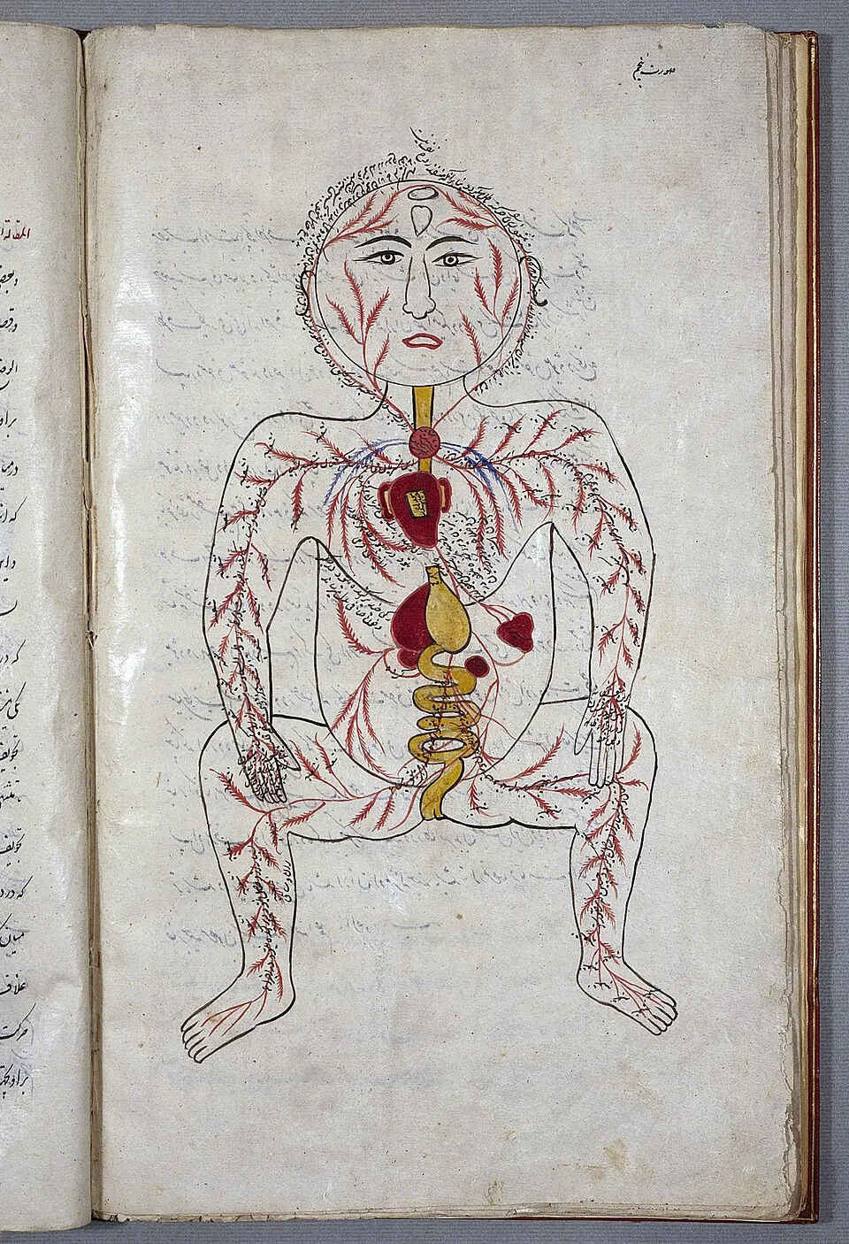 Wellcome Collection on Wikimedia Commons