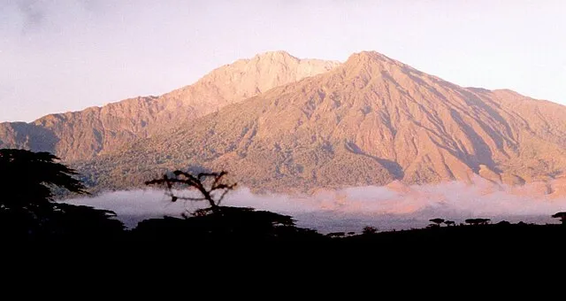 Toksave on Wikimedia Commons