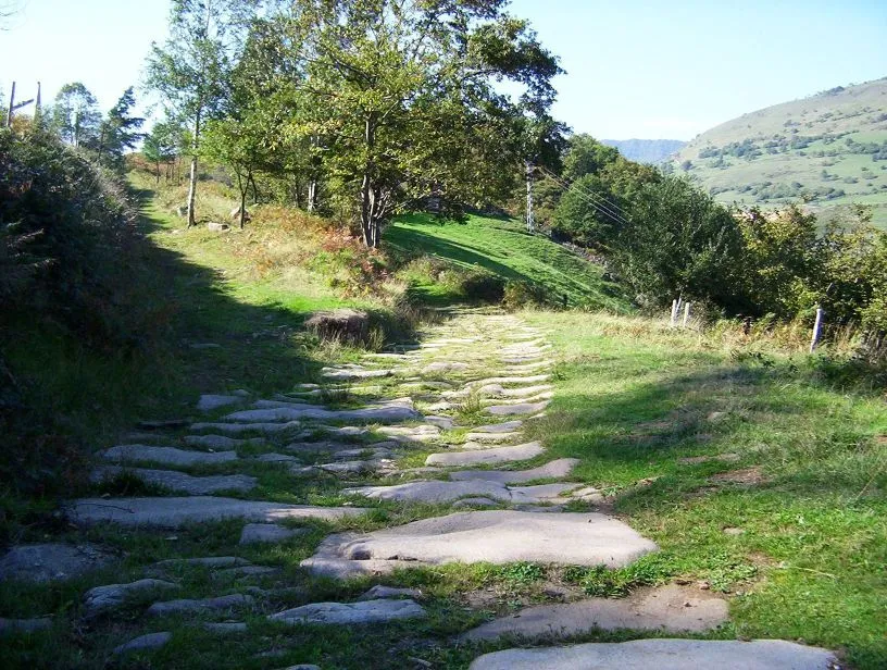 Wikimedia Commons