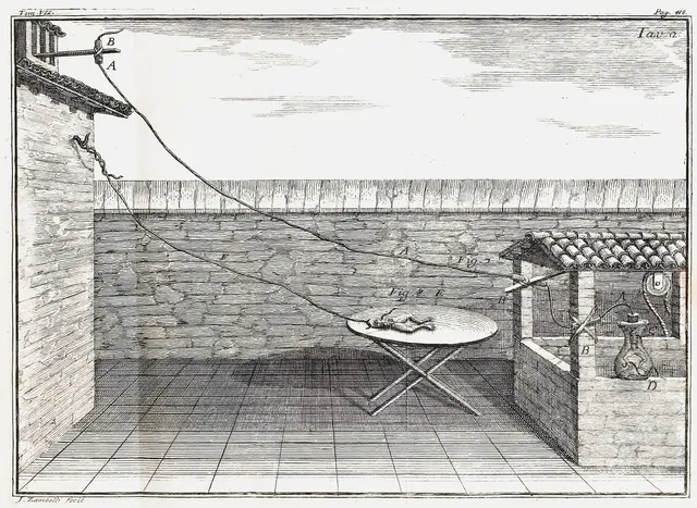 Luigi Galvani on Wikimedia Commons