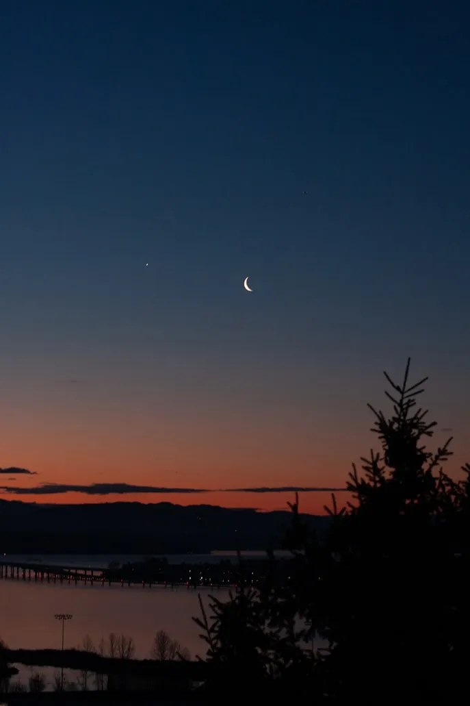 David Schultz from Unsplash
