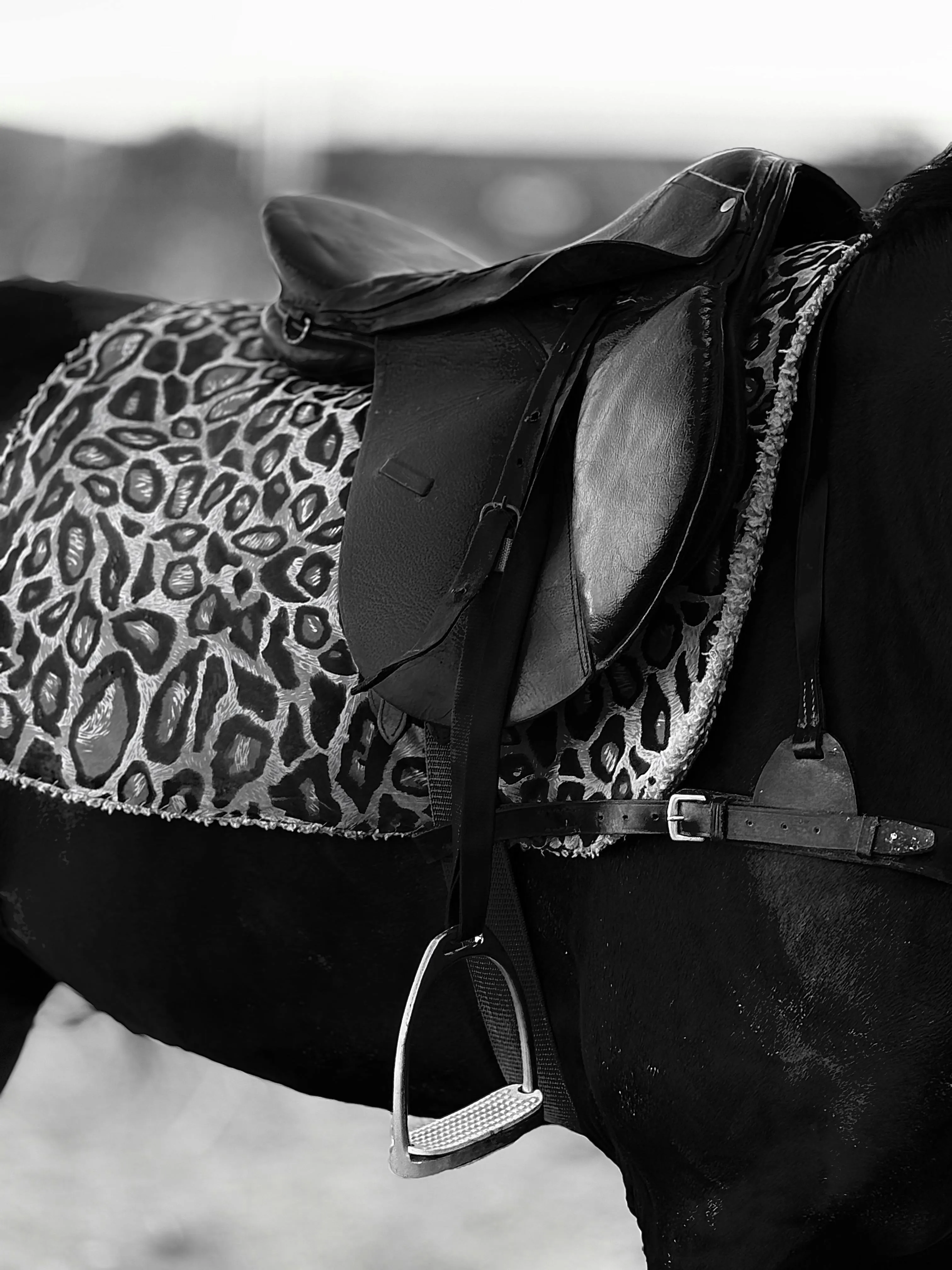 Darkshade Photos on Pexels
