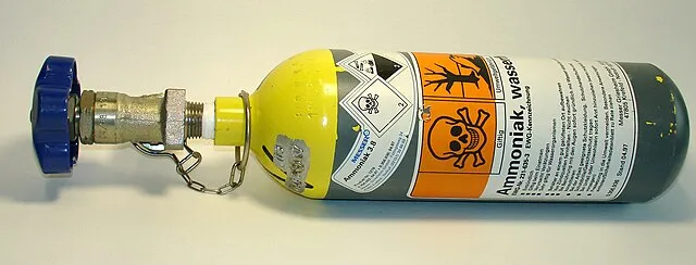 Masur on WikiCommons