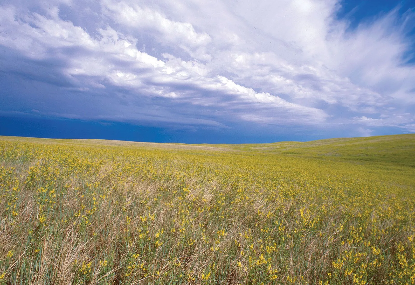 Image from Britannica