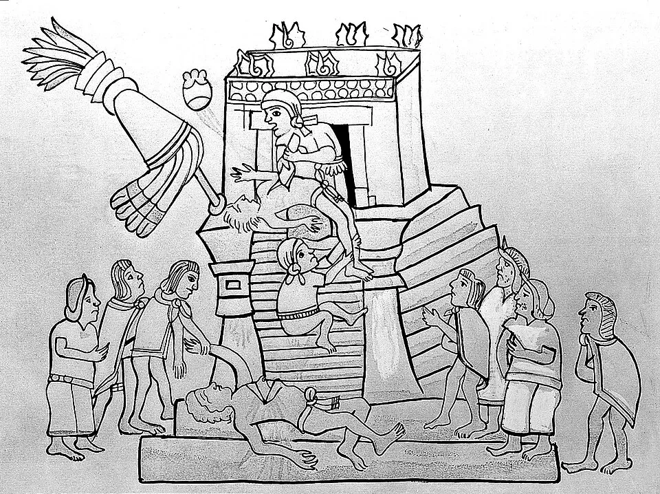 Wellcome Collection on Wikimedia Commons