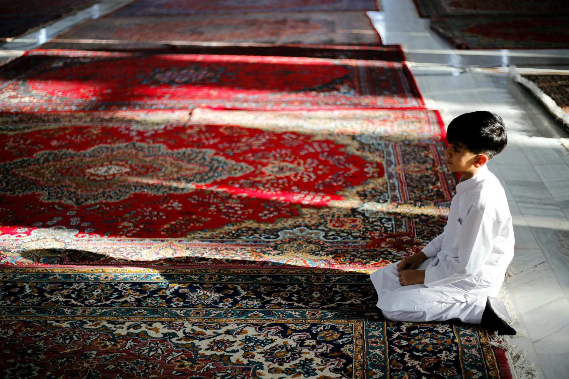 mohammad ramezani on Pexels