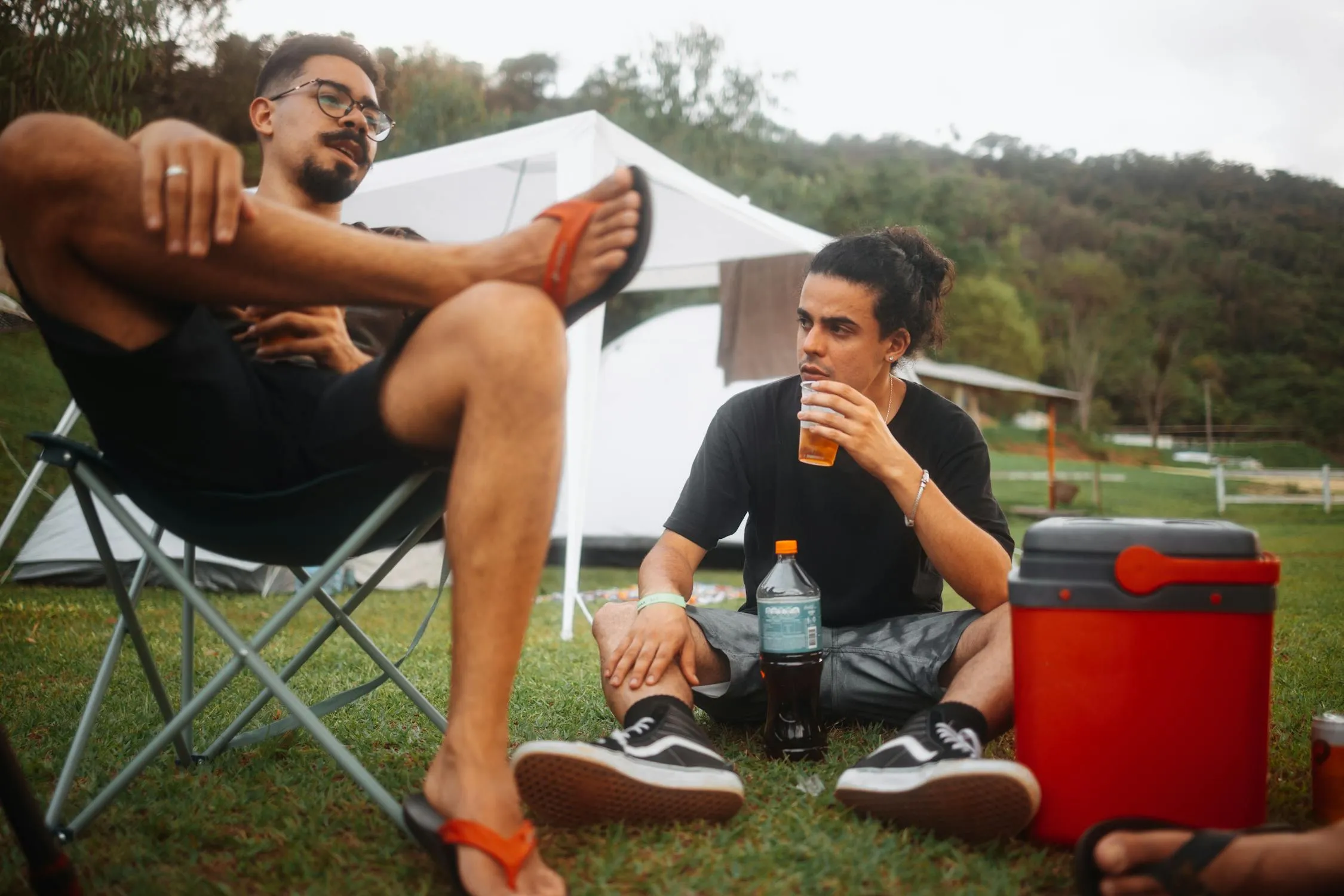 Matheus Bertelli on Pexels 