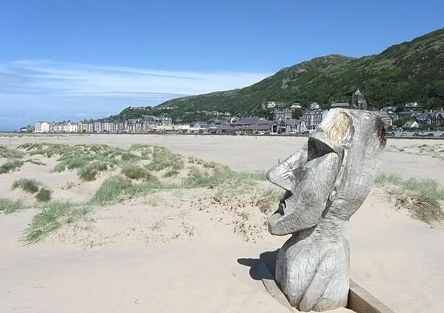 Derek Voller on Wikimedia Commons