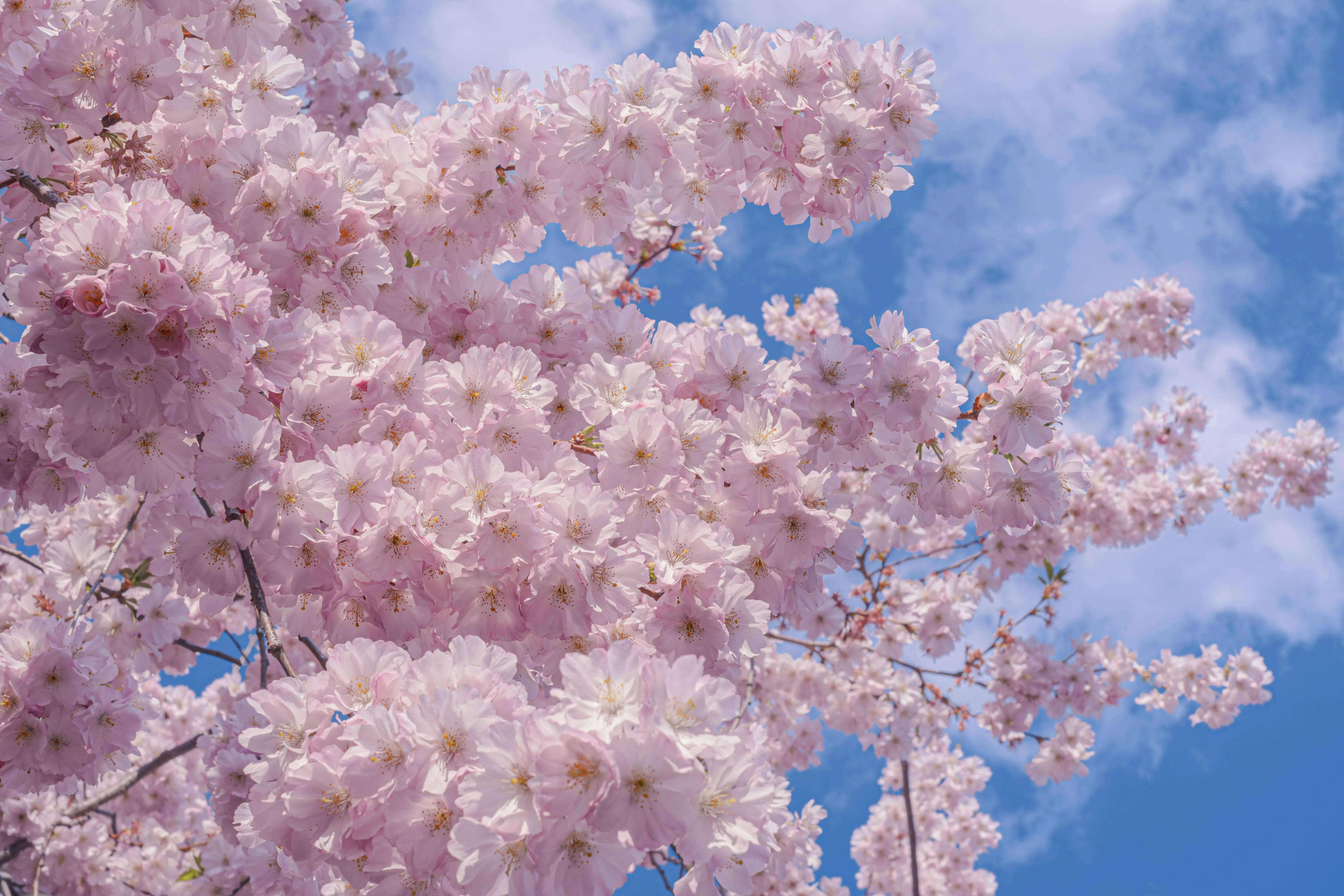 10 Spring Changes People Welcomed