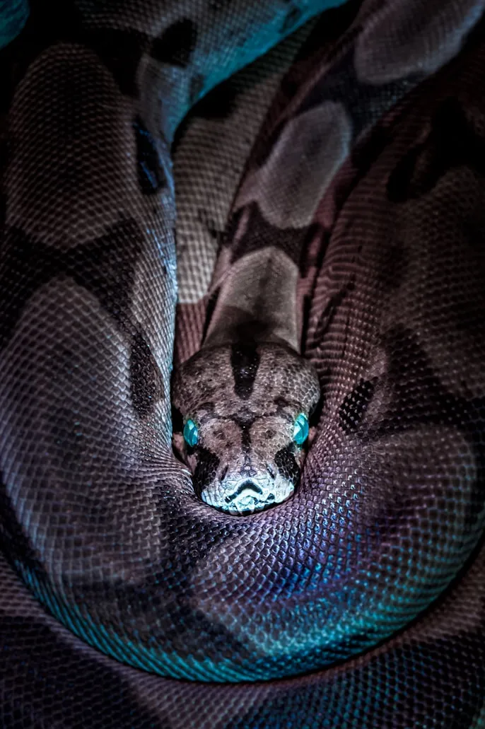 Jan Kopřiva from Unsplash