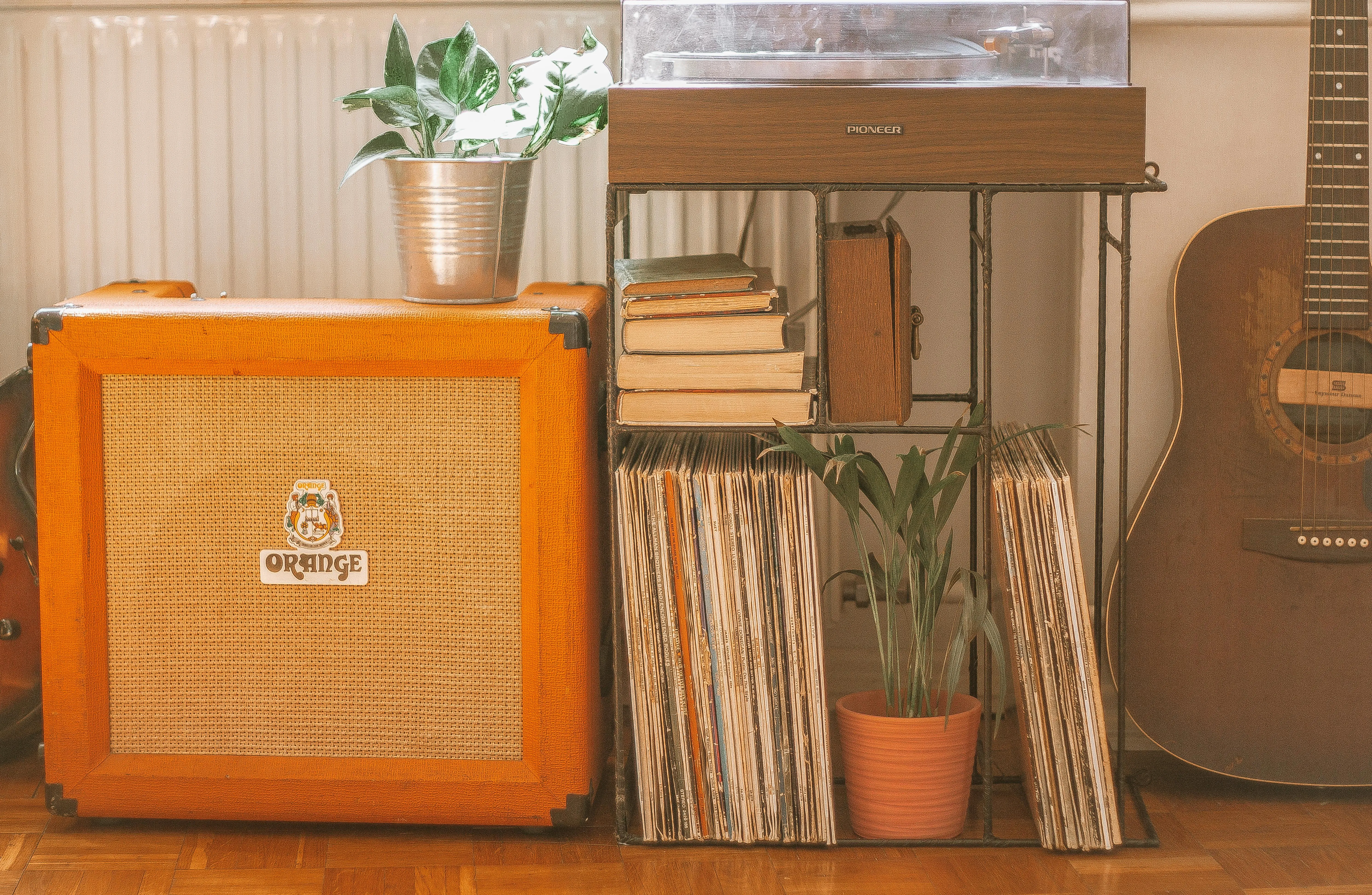 Alina Vilchenko on Pexels