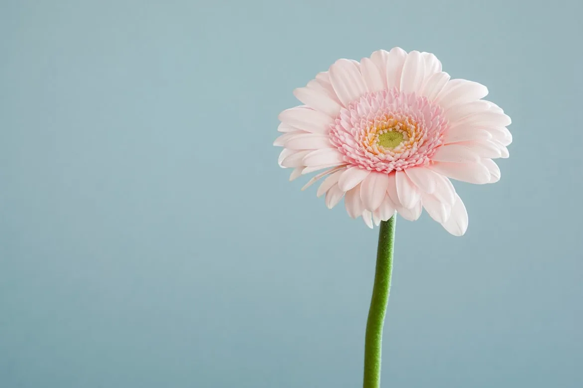 Andrew Small from Unsplash