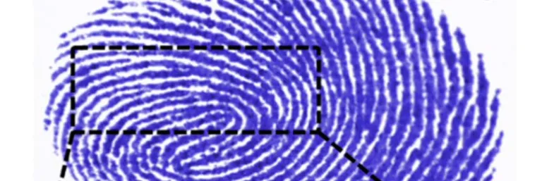 Image from Wikipedia