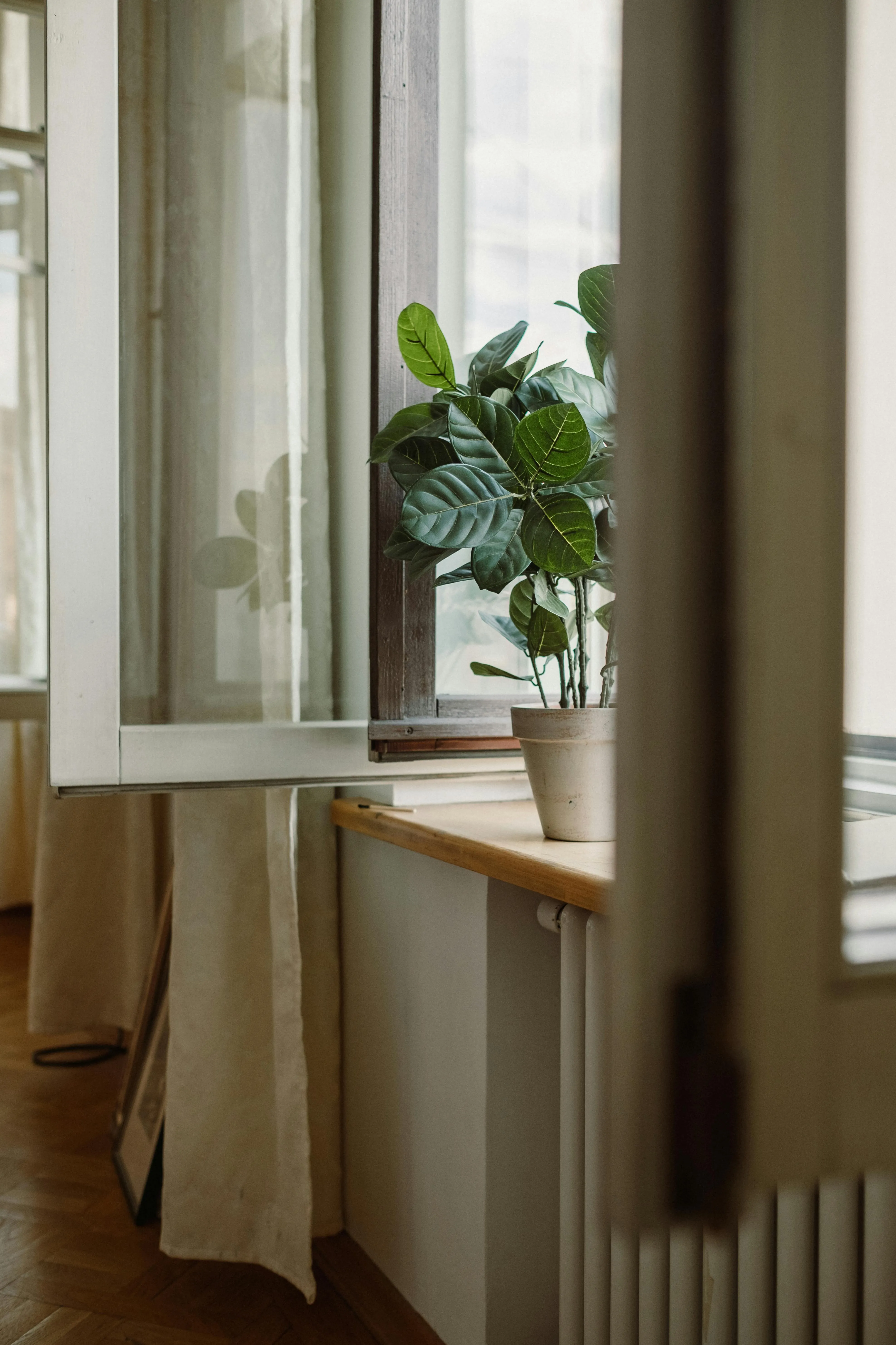 cottonbro studio on pexels