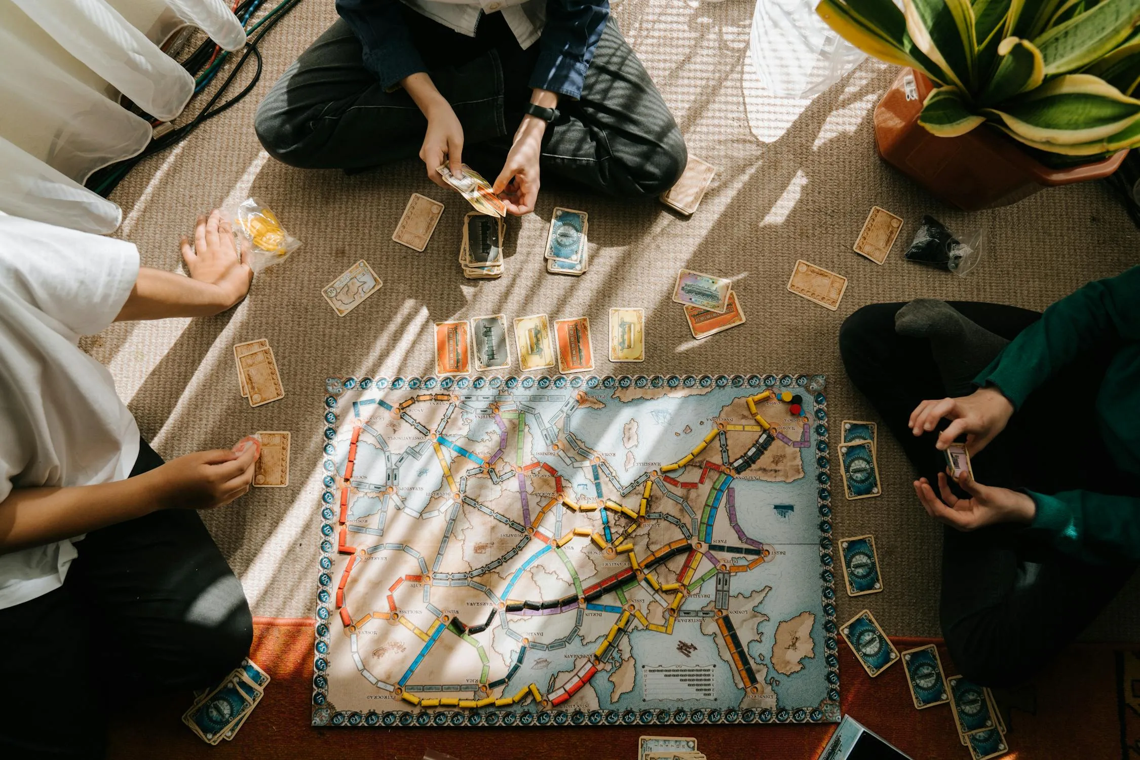 cottonbro studio on pexels