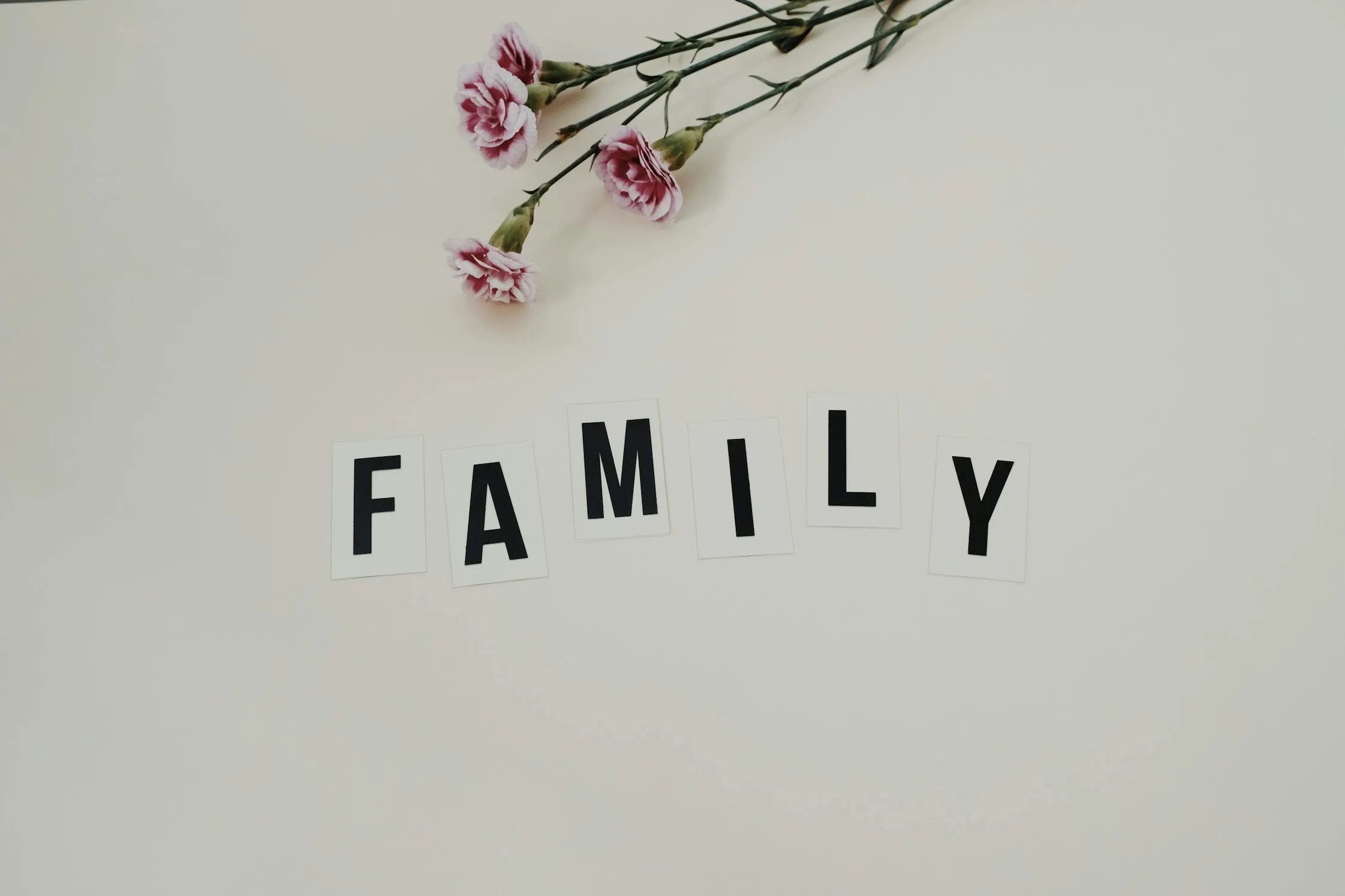 15 Rules Families Followed in the 1960s That Would Shock People Today