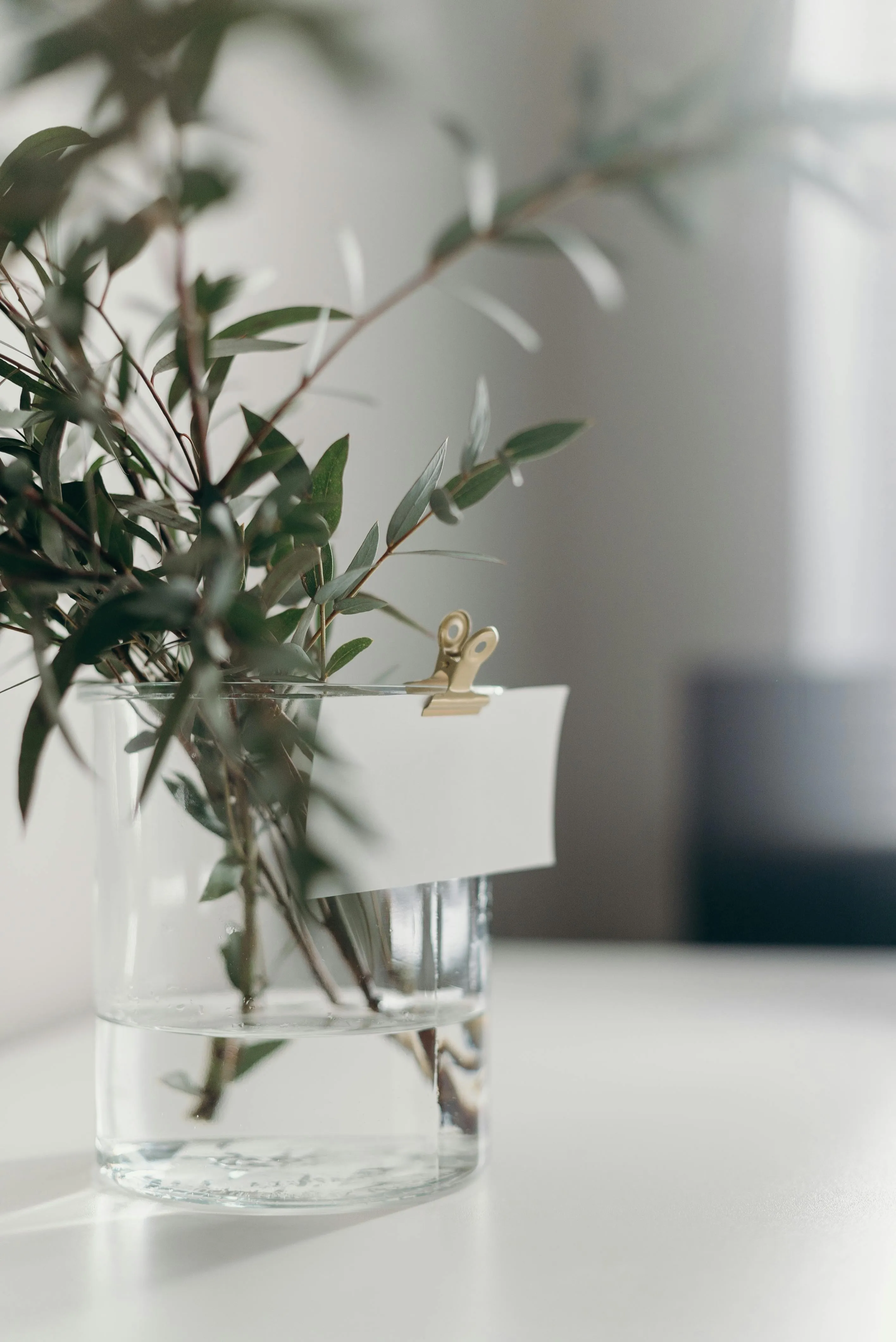 cottonbro studio on Pexels